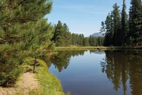 Cabin with Views, Hiking, 4X4, Fishing, Wifi - Image 4