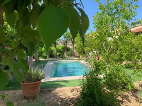 Holiday cottage, Enotourism 60 km from Barcelona. - Image 4