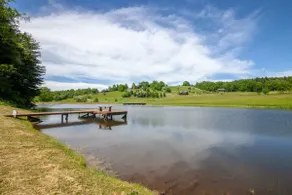 5BR Cabin, Private Pond m / Dock, Hot Tub, Game Room med poolbord og teater! - Image 3