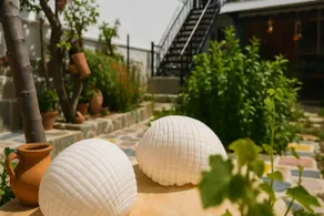 Urban Seaside Oasis - Adriana's Garden Paradise - Image 4