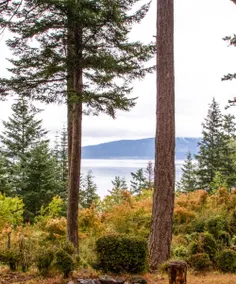 Orcas Island, Sea Acres Lodge #266 - Image 2