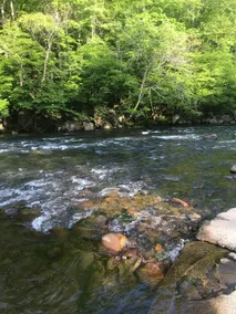 River Access ☀Easy Access ☀Hot Tub ☀Sleeps 4 ☀Well Equipped - Image 4