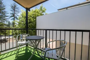 Large & Cosy |  Park Views | Close to everything! - Image 5