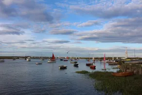 Sea Pie - Image 5