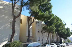 Puig Padro 4 1-1 - Image 2