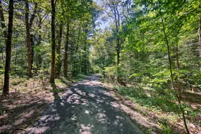 Hike, Hunt & Unwind: Cozy Cabin Near Hersheypark - Image 3
