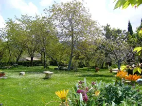 Torretta, surrounded by nature and history - Image 4