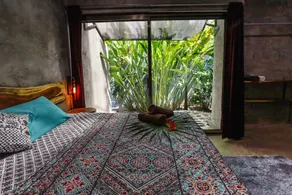 Casa Catarina, AC, Garden, Pool, Private Villa - Image 5