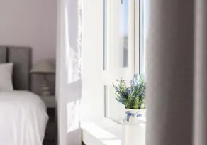 Susie's Place - Image 5