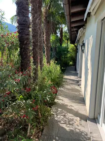 Villa Leone - Image 2