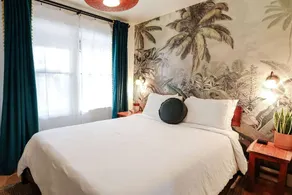 | The Jungle Bungalow | Downtown Chico | - Image 3
