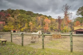 'Lone Ranger' Cabin by Raystown Lake - Image 2