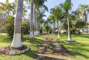 Swimming pool, garden, gourmet area and wooded view - Image 4