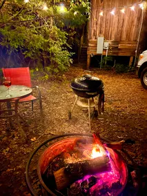 Secluded Lake Palestine Cabin with private Hot Tub and Fire Pit - Image 2