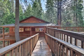 NY! Rymlig stuga, promenad till Big Trees State Park! - Image 2