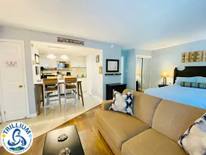 Slopeside Blue Mountain Condo - Wifi, Linens/Towels, Ski In/Out - Image 2
