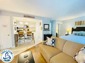Slopeside Blue Mountain Condo - Wifi, Linens/Towels, Ski In/Out - Image 4