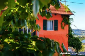 Paitin: Camera Gialla - Image 4