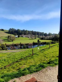 Riverside Tiny House Retreat on Forth River with Scenic Views in Tasmania - Image 5