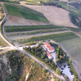 La Querciola: Lavanda - Image 2
