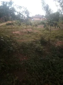 Pleasant dedicated room with garden - Image 3