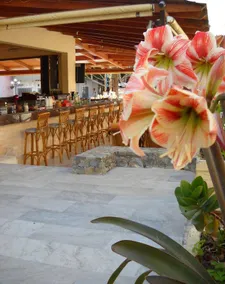 Family-friendly lovely holiday apartment with pool & terrace | Next to the beach - Image 2