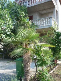 Flat with BBQ, garden & terrace | Next to the beach | Pet-friendly - Image 4