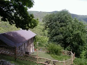 House with barbecue, private pool & terrace | River view - Image 3