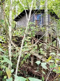 Tree Top Cabin in Crumpler, North Carolina - Image 4
