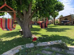 Agriturismo Fattoria Poggio Nebbia - Image 4