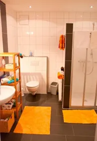 Bachstelze - Image 3