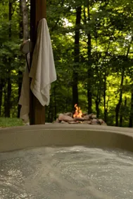 Secluded West Virginia Cabin Rental on the Edge of Monongahela National Forest - Image 5