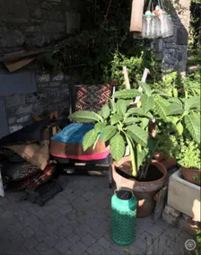 Chambre chez l'habitant avec barbecue, jardin et terrasse - Image 5