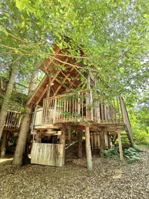 Breathtaking Tree House Rentals near Lake Bled, Slovenia - Image 2