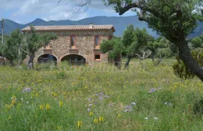 Cottage with terrace, garden & BBQ | Mountain view | Pets allowed - Image 2