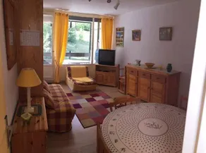 À 100m des pistes de ski, 3ème étage, télévision, 25m², Sauze - Super Sauze - Image 3