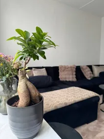 Charmante maison avec 4 chambres à coucher pour 7 personnes - Image 2