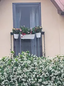 Appartement de vacances avec 2 chambres à coucher pour 3 personnes - Image 3