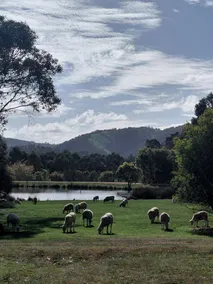 Opulent Glamping Escape with Lake Views & Outdoor Firepit in Victoria, Australia - Image 5