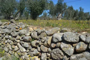 Cottage with terrace, garden & BBQ | Mountain view | Pets allowed - Image 4