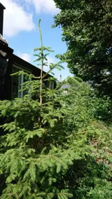 Flat with terrace, garden & barbecue | Mountain view - Image 4