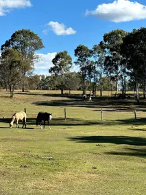 Lovely Tiny House Surrounded by Beautiful Rustic Landscape in Queensland, Australia - Image 3