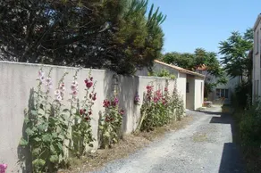 Holiday home with barbeque & garden | Garden view - Image 2