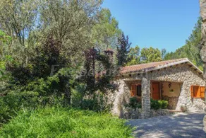 Child-friendly pleasant cottage with barbeque, terrace & garden | Garden view | Pet-friendly - Image 2