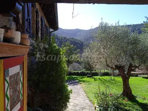 Familienorientiertes Landhaus mit Terrasse, Grill und Garten | Gartenblick | Hunde erlaubt - Image 4