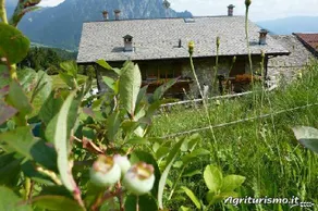 Ca' di Racc: Stanza Faggio - Image 5