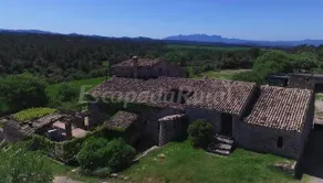 Pleasant cottage with barbeque, pool & terrace | Garden view | Pets are welcome - Image 2