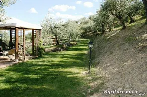 Agriturismo Il Corbezzolo: Camera gialla - Image 5