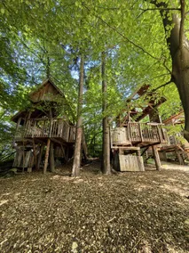 Breathtaking Tree House Rentals near Lake Bled, Slovenia - Image 3
