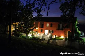 Paitin: Camera Gialla - Image 3